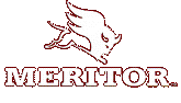 Meritor logo link